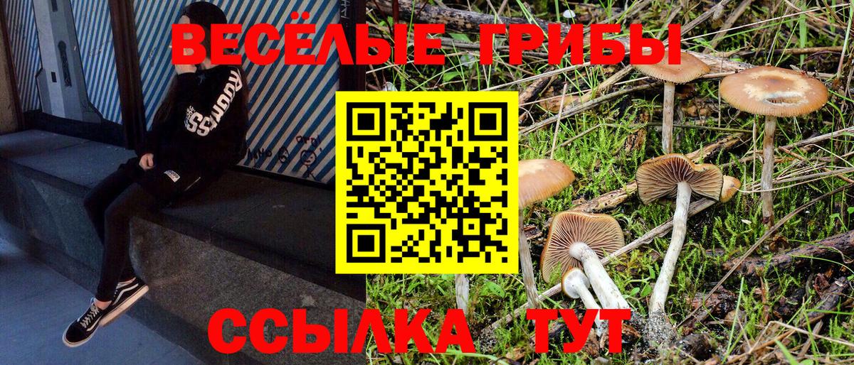 Галлюциногенные грибы прущие грибы  Псилоцибиновые грибы Psilocybine cubensis  Кингисепп  Вход с VPN 