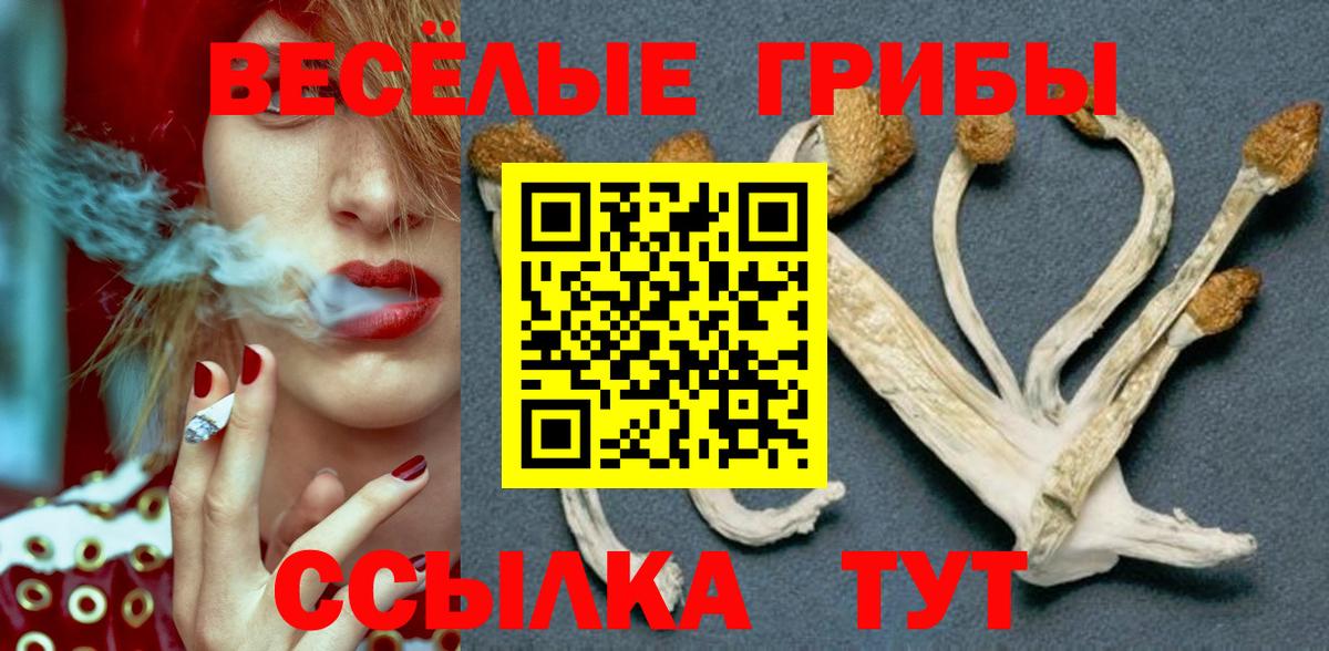 Галлюциногенные грибы GOLDEN TEACHER Кингисепп